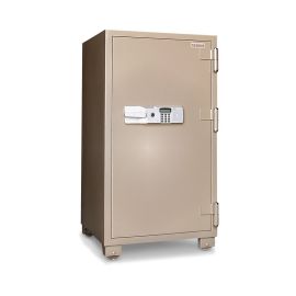 FR-100-E Safe
