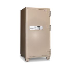 FR-160-E Safe